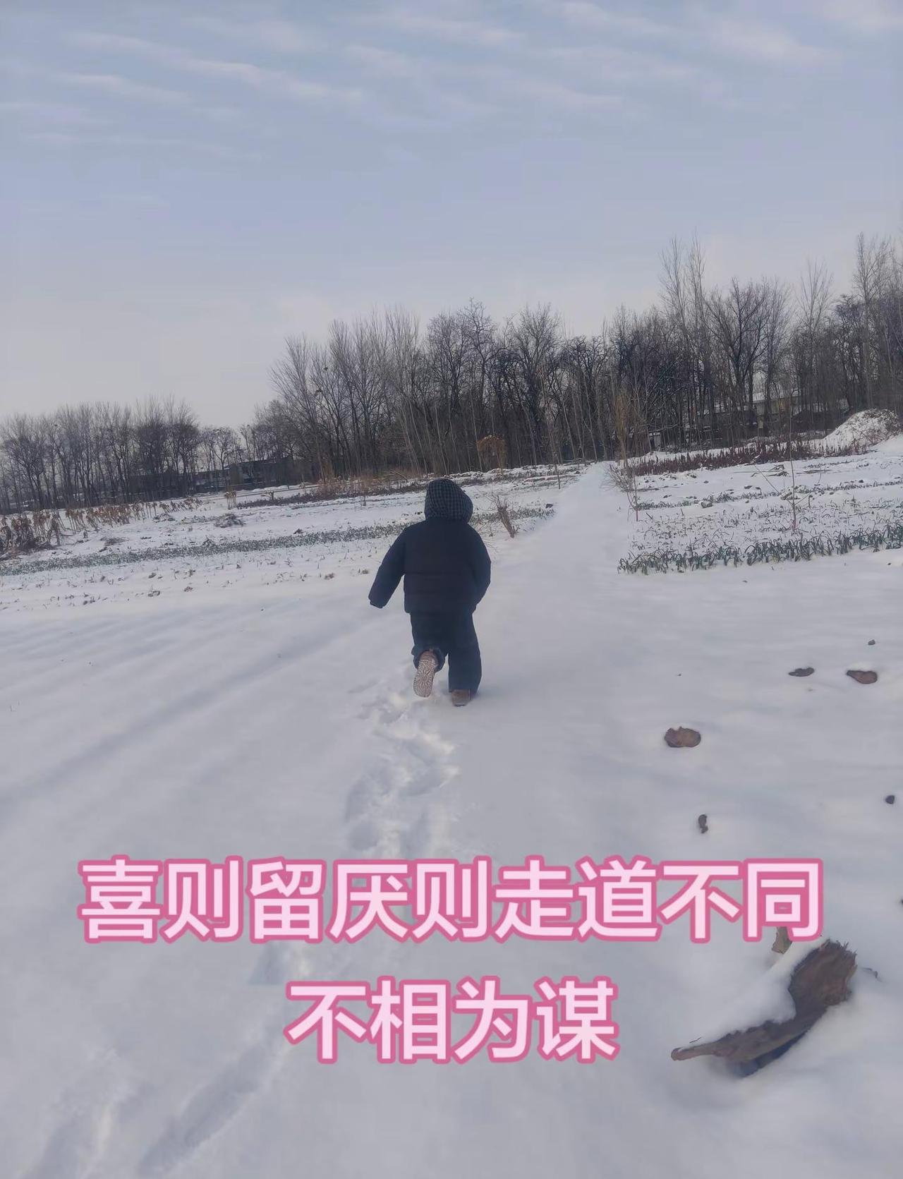 收藏好久的音乐终于用上了 享受自由 慢下来看世界