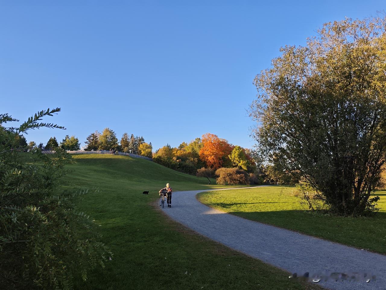 夕阳夕照下的渥太华里多河畔，每天都在变换着不同的景色。