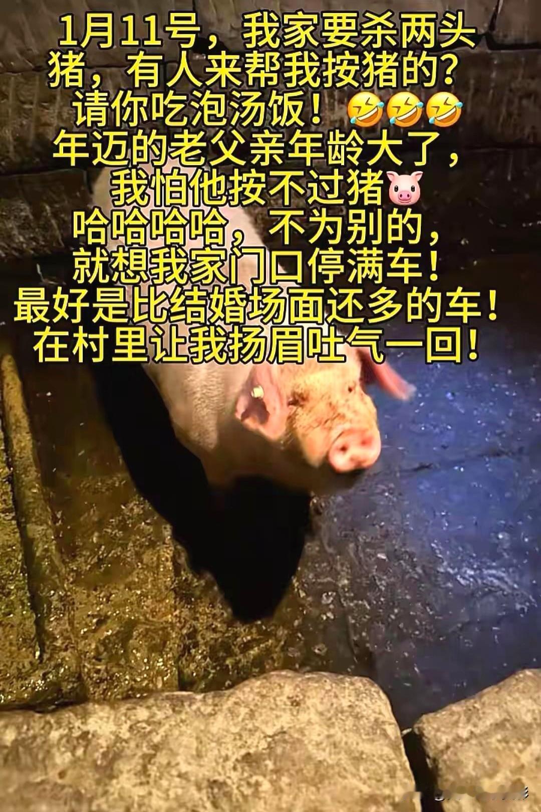 朴实无华的呆呆，发自内心的呼唤，迎来了几百万粉丝的共鸣，迎来了合川文旅的突然爆火