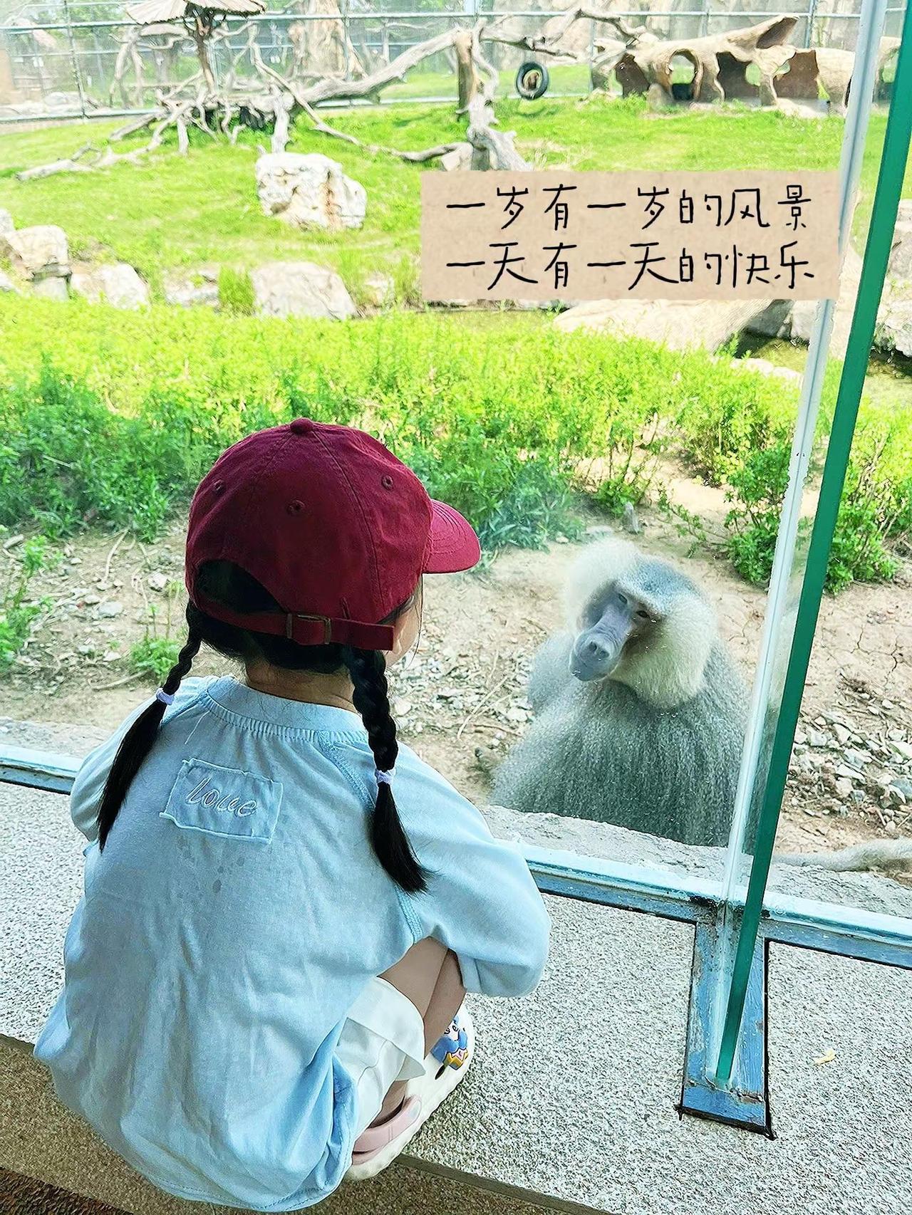 一岁有一岁的风景 一天有一天的快乐