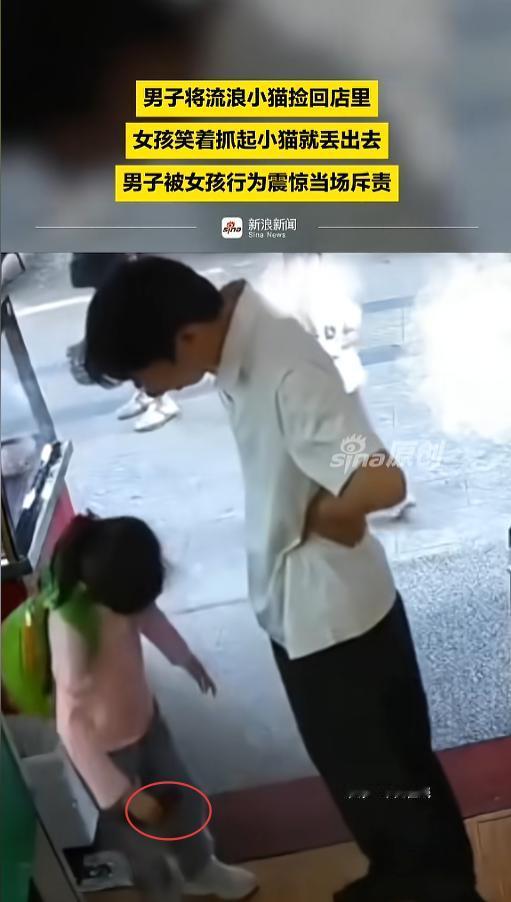 “太吓人！”数次濒临死亡的小猫，店主施以援手收容照顾，善意缓缓流淌，可过路女孩转