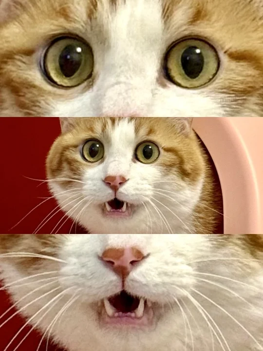 人，请闻