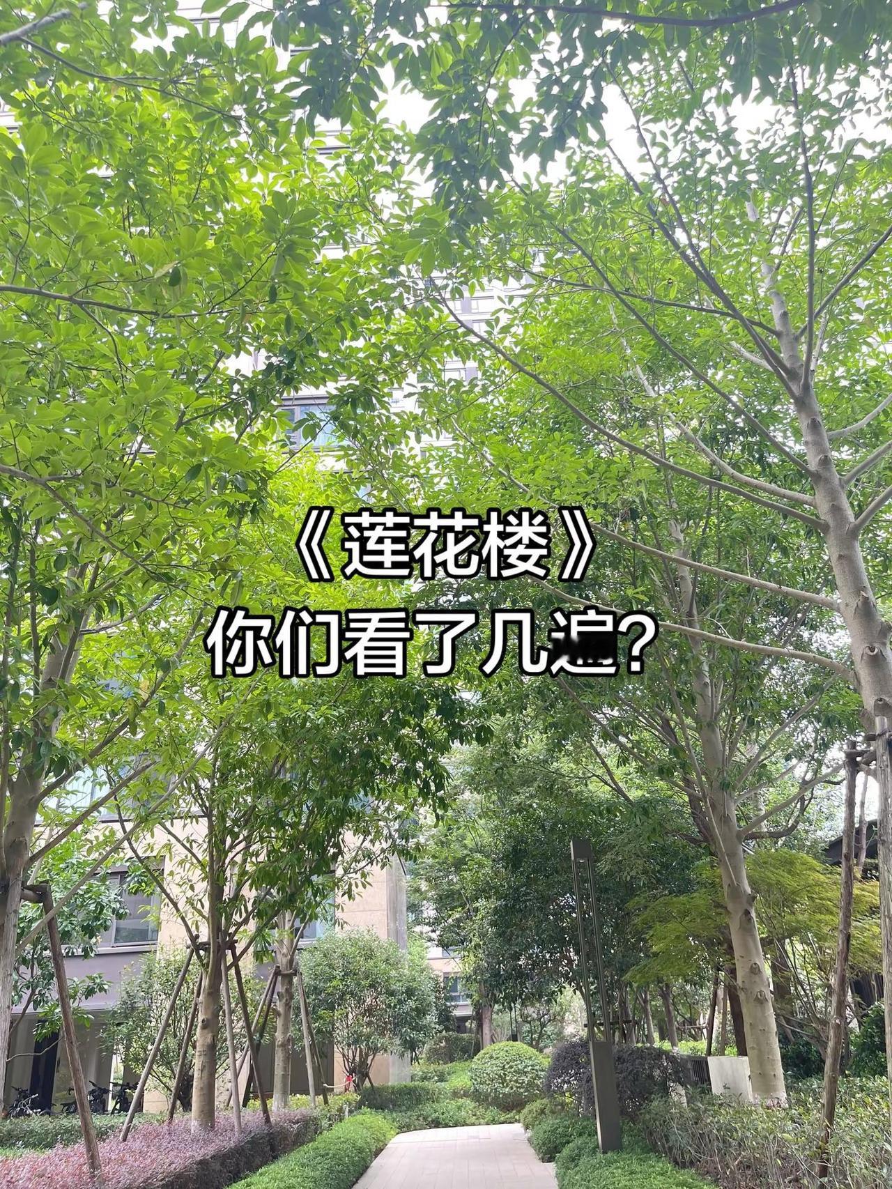莲花楼你们看了几遍成毅 成毅莲花楼 莲花楼
