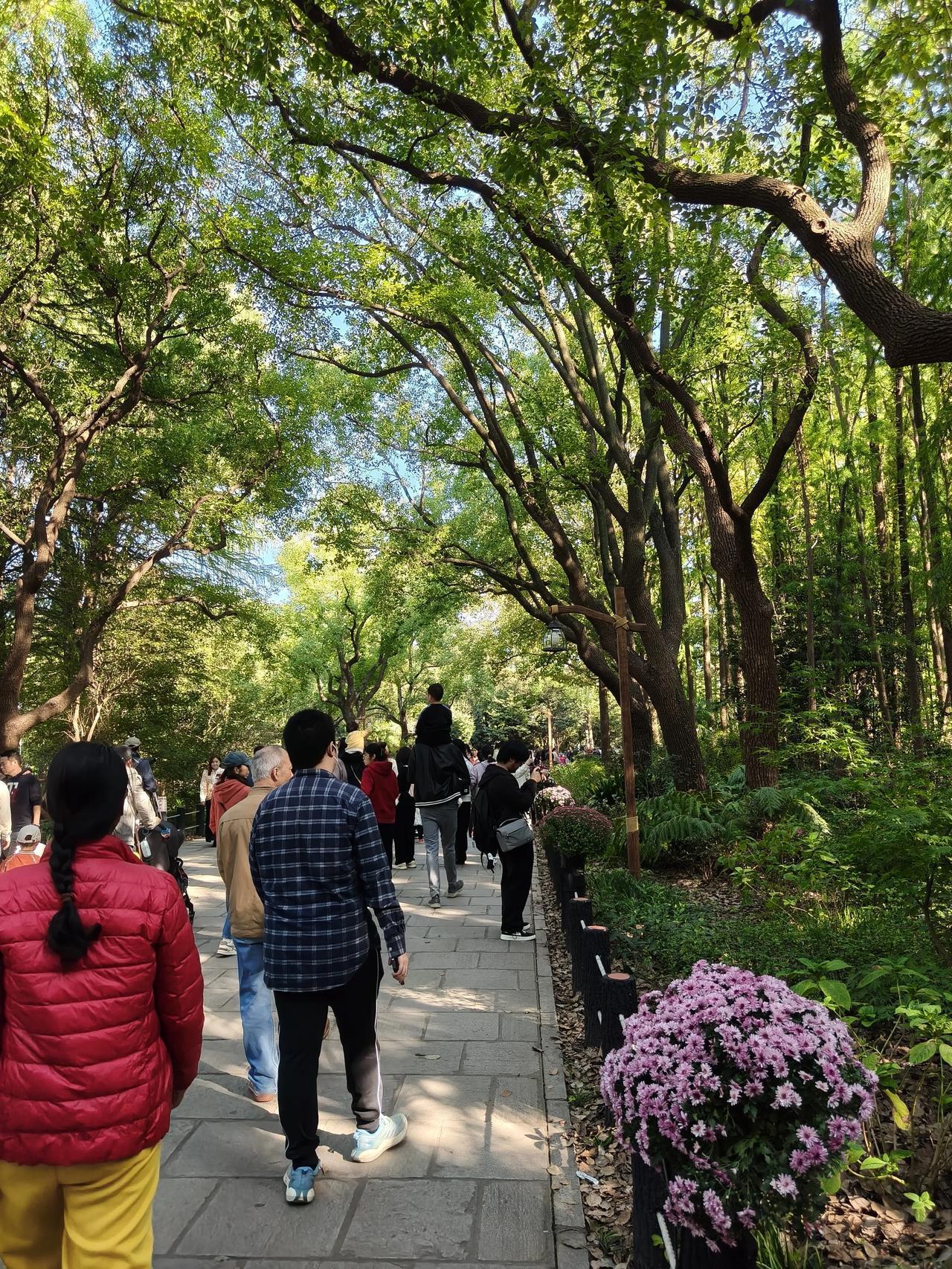 冬日出游随手拍实景图分享！

共青森林公园菊花展随手拍

实景图分享！