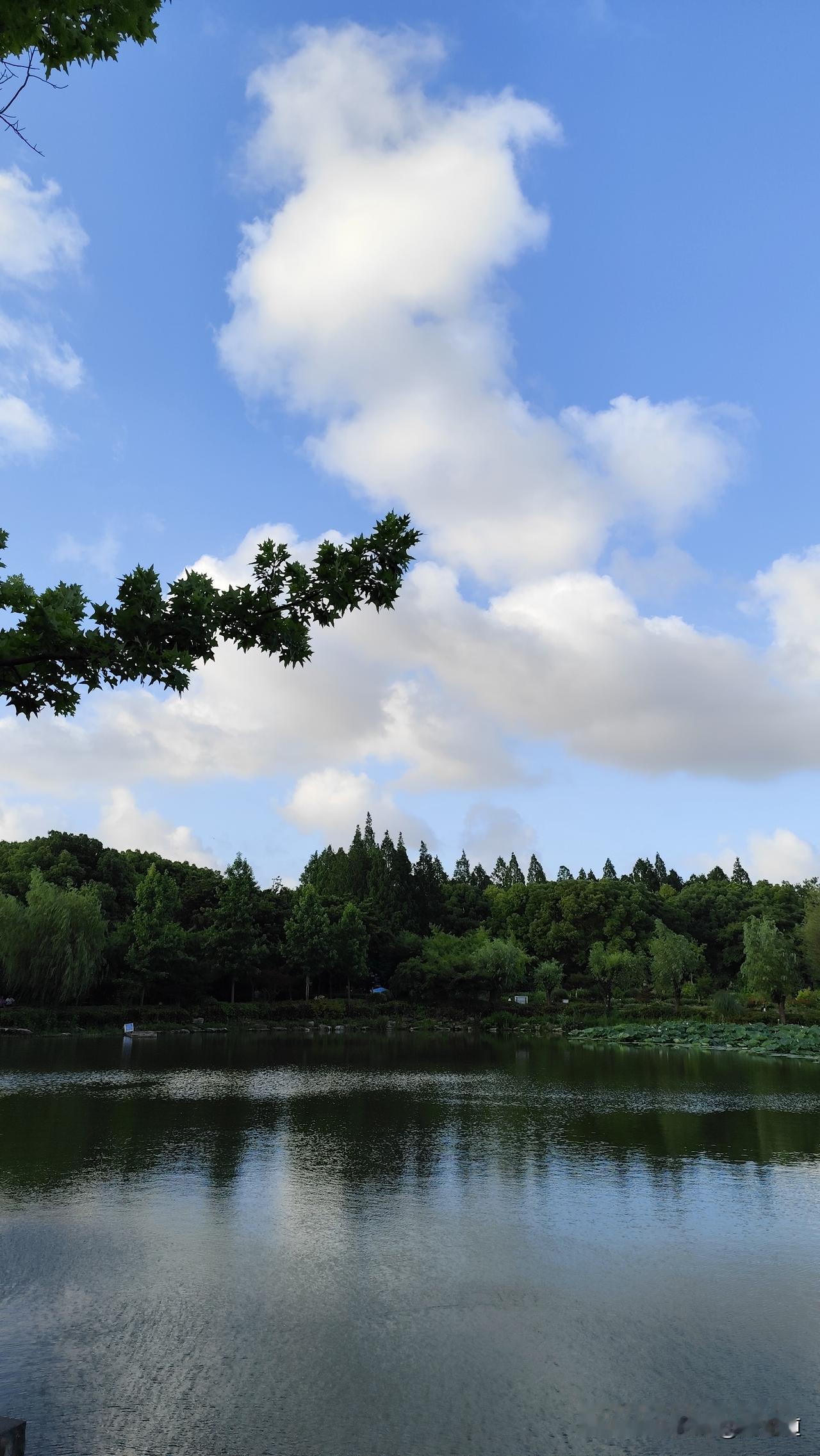 分享你随手拍的风景蓝天白云景色新