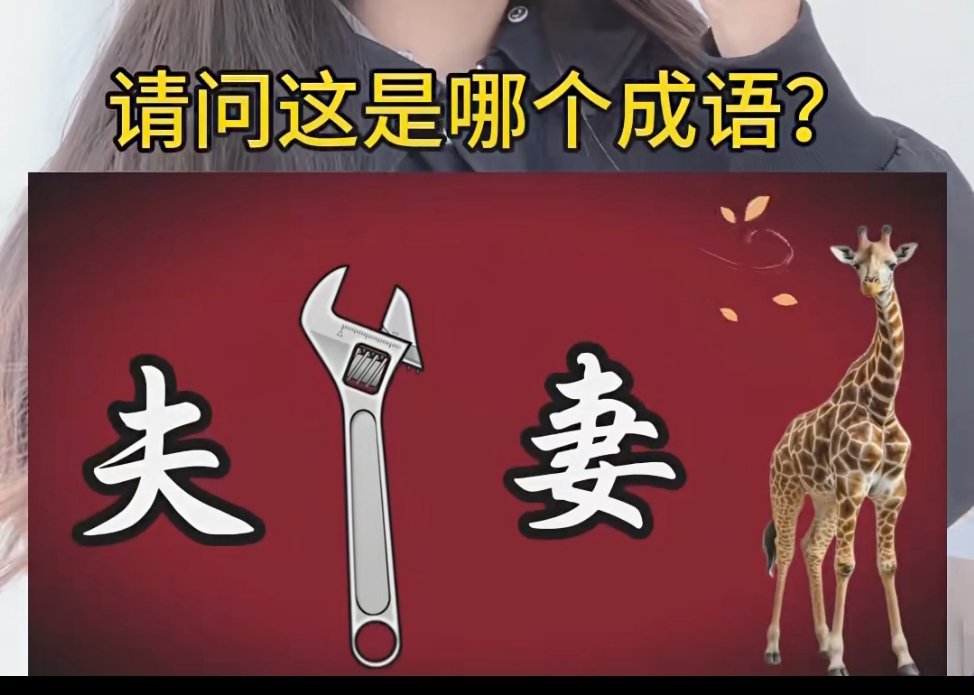 请问这是哪个成语？“夫妻”每个字，后面加了个扳手和长颈鹿。。。 
