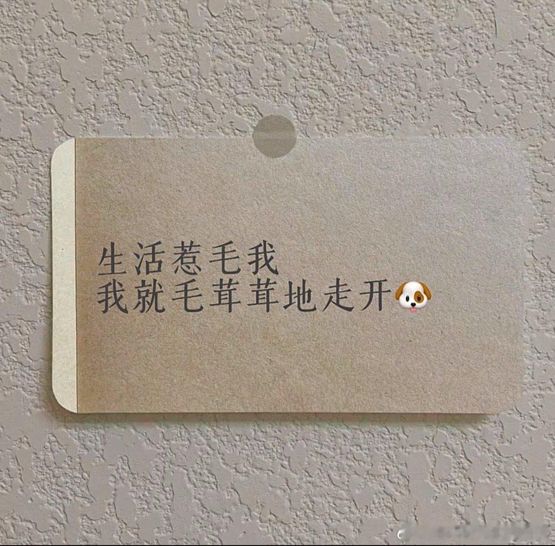 生活惹毛我 ​​​
