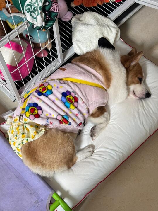 可是她真的很像一个宝宝呀～