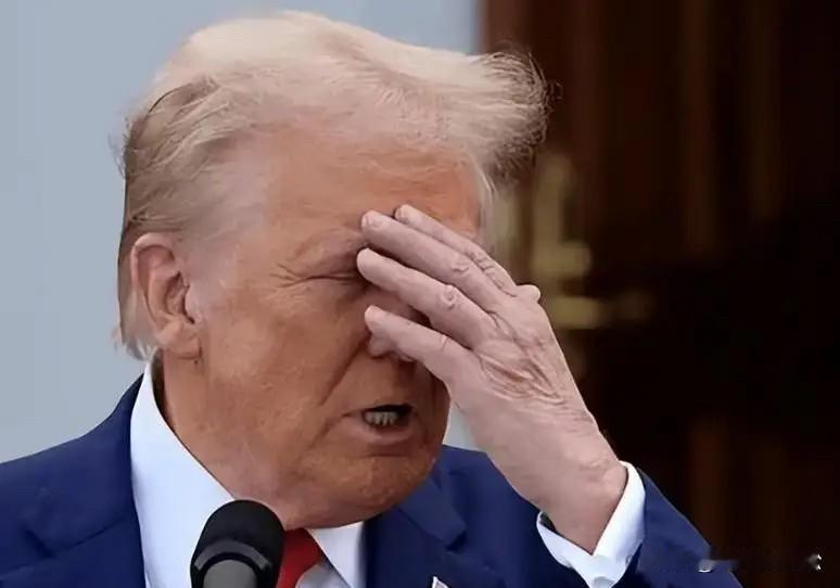 特朗普这句话要火！
因天气寒冷，我请求普京在一周内不要向乌克兰开火，他已经同意了