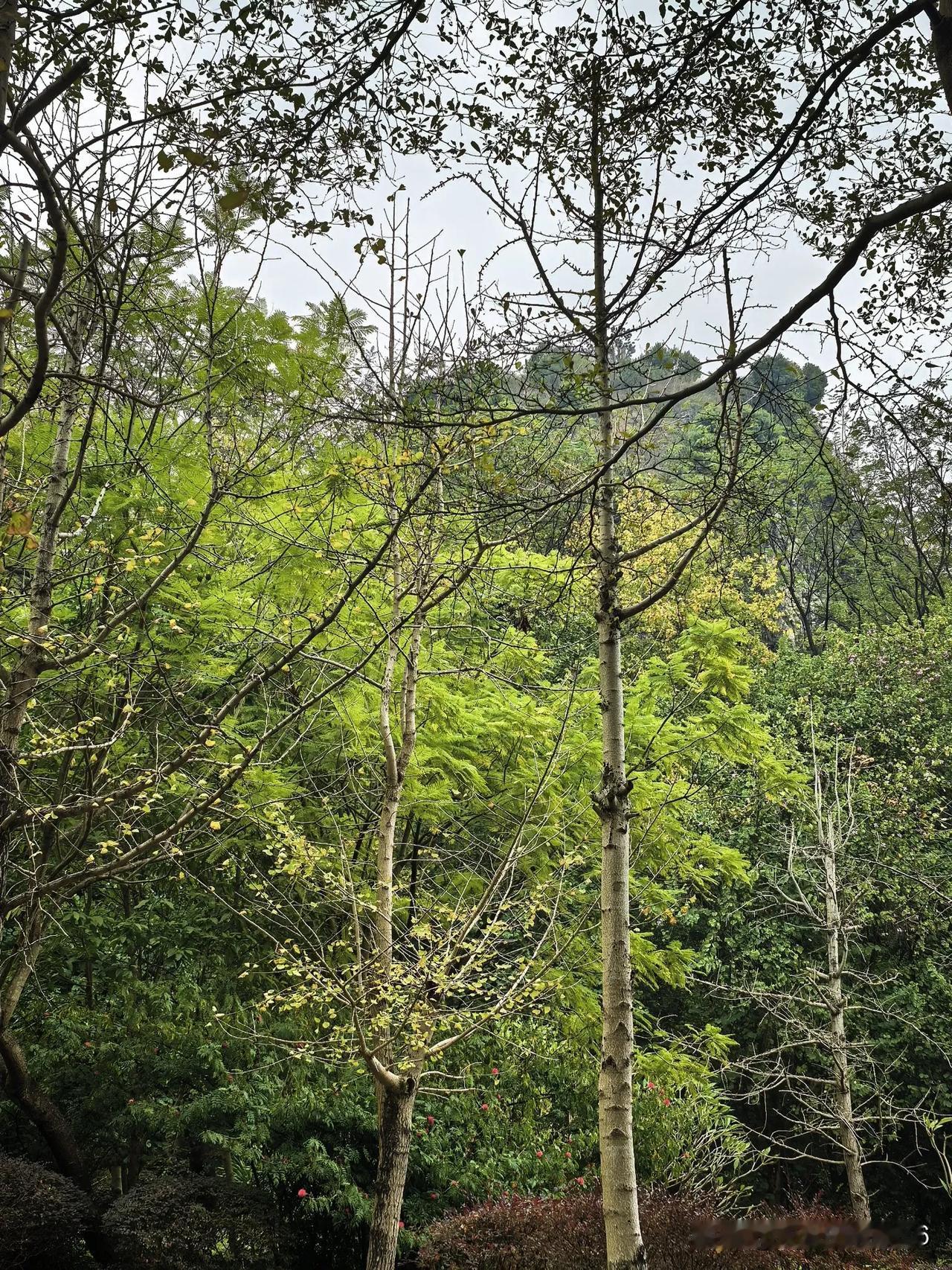 现如今的社会，你们生活的怎么样跟改革开放前的大集体时相比，我们的生活有翻天覆地的