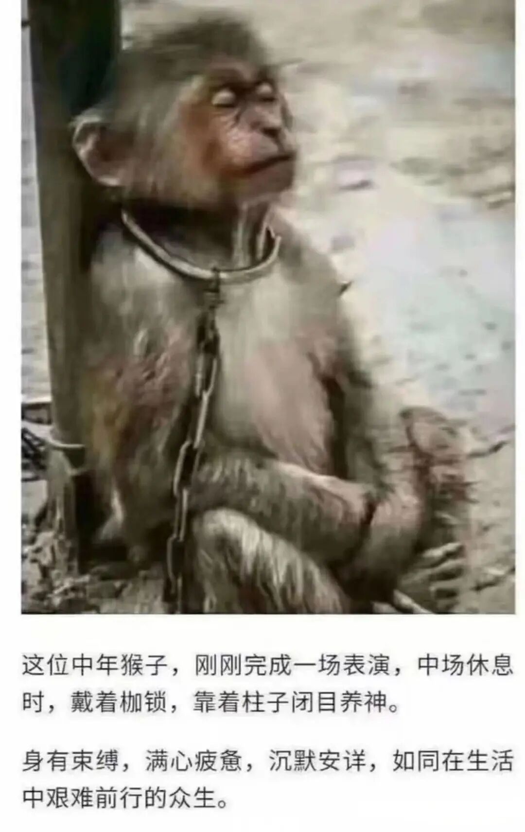 今天的工作多的要死 