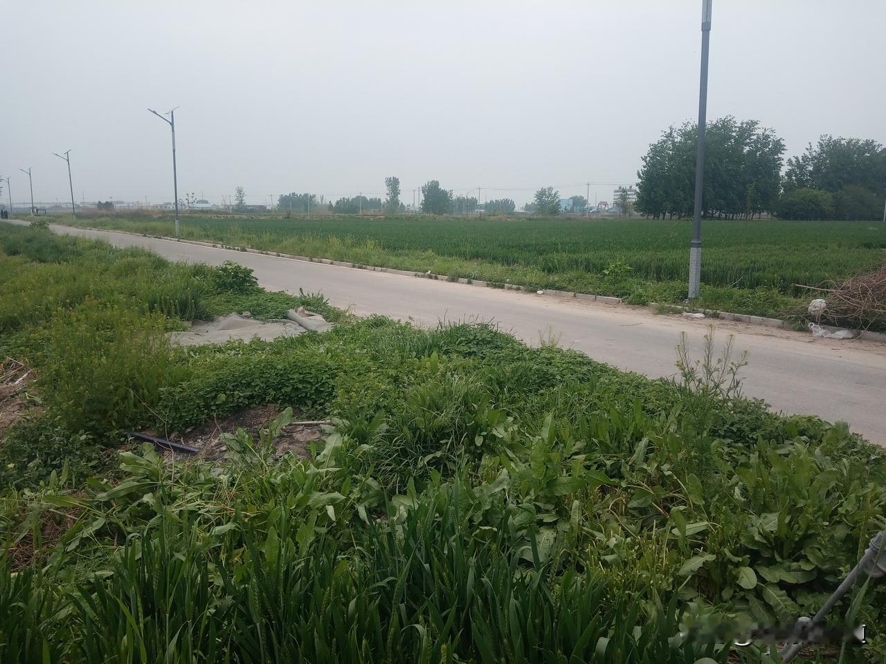 老农谚
不怕三月初一晴
就怕三月初二阴
三月初一晴，五谷六畜兴
三月初二阴，粮畜