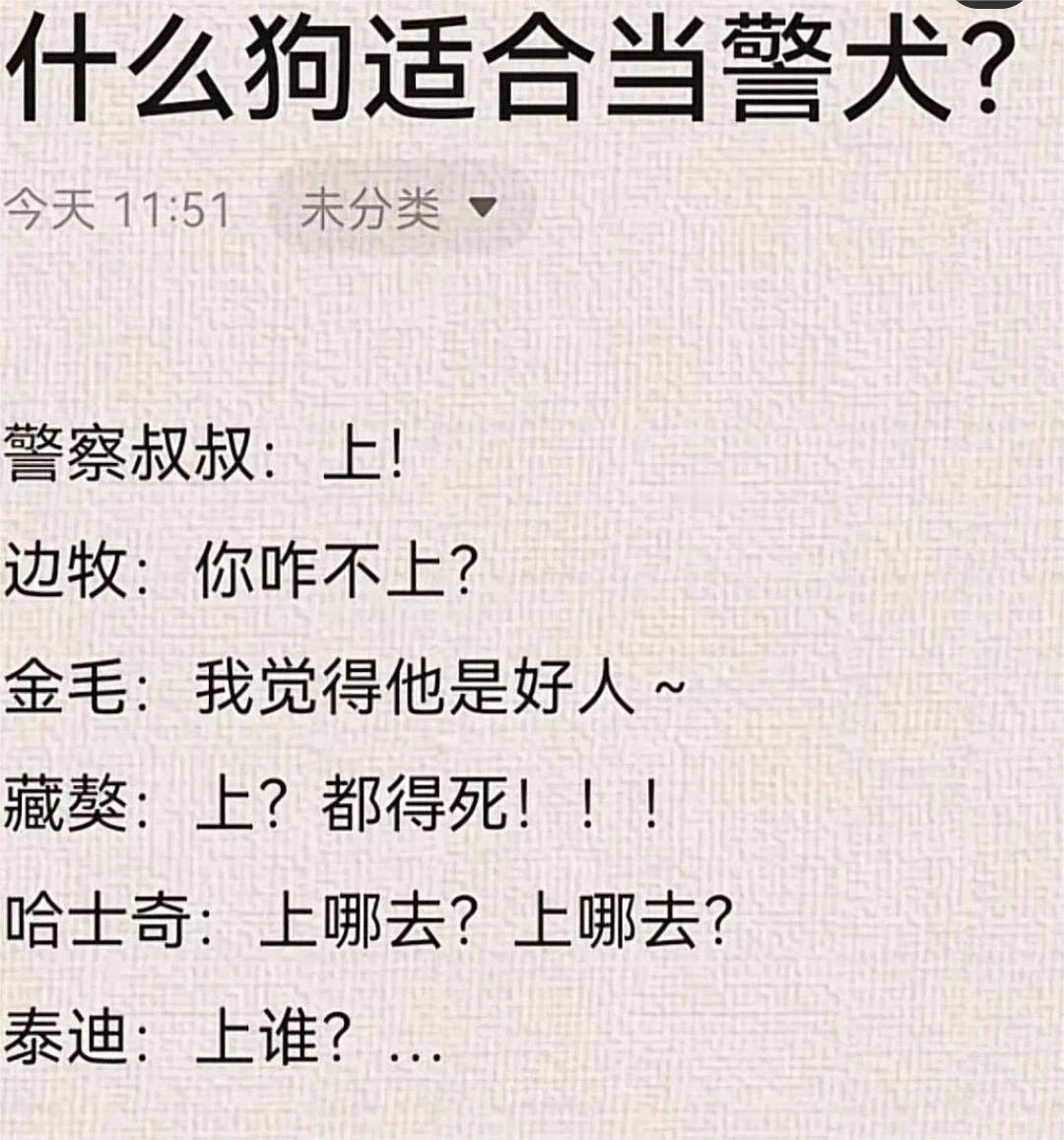 什么狗适合当警犬？ ​​​