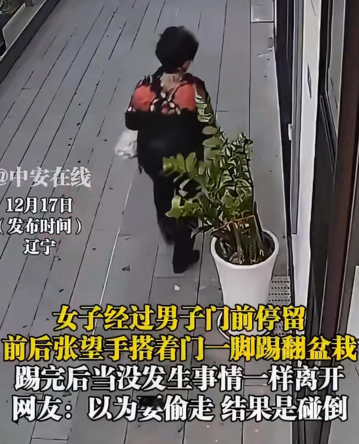监控拍下一大妈的丑行，走着走着把人家门口的一盆绿植给踢翻打碎了。这盆绿植放在门口