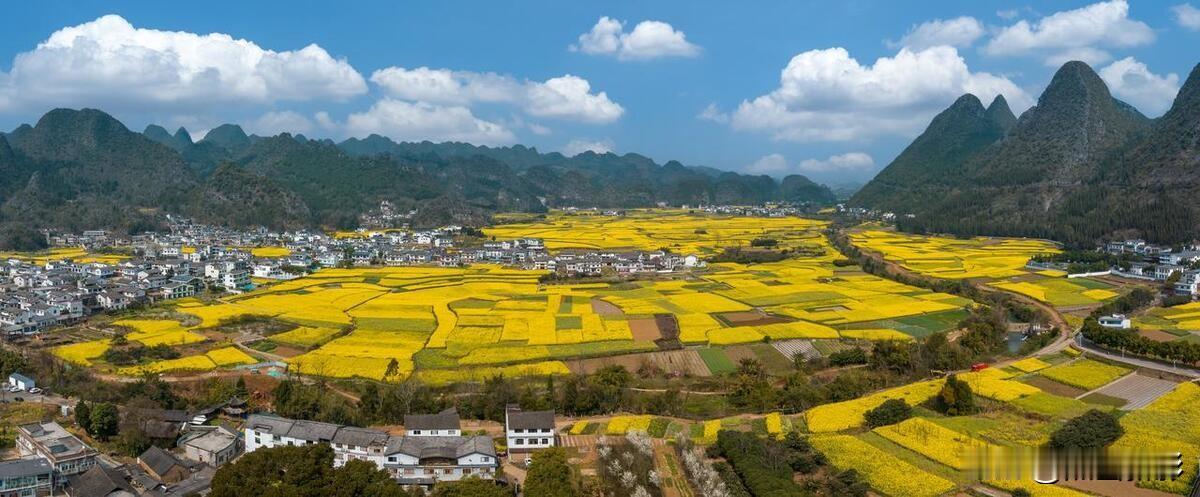 兴义花海吟

兴义春来绽锦章，峰林花海共流芳。
千丘金浪连天涌，万座青螺映日彰。