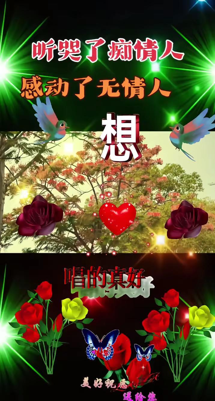 凤凰花开的季节 一首好听的歌送给大家感谢大家聆听与支持和鼓励