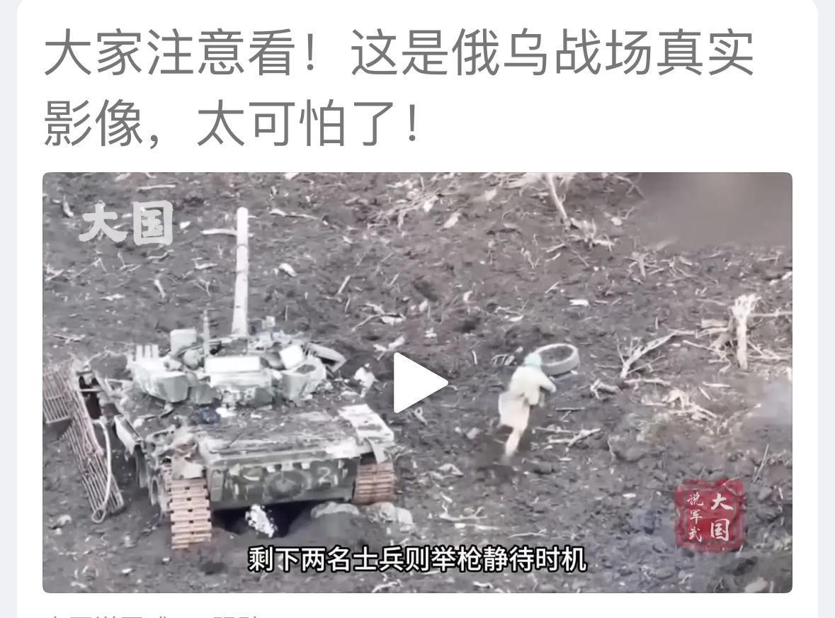 希望俄乌双方立即停战，每天都是几百人，上千人的死亡，太惨烈了！