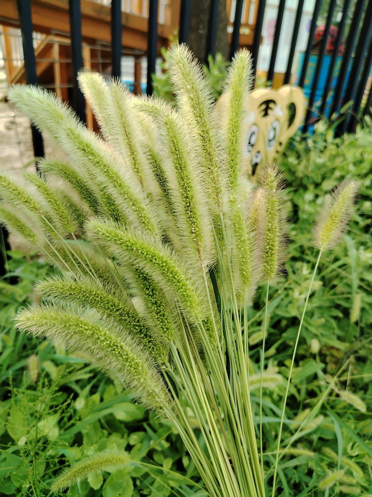 曾繁日够狠辣的，一记重拳直接击中山西队刘传兴的裆部，刘传兴瞬间倒地，痛苦不堪，根