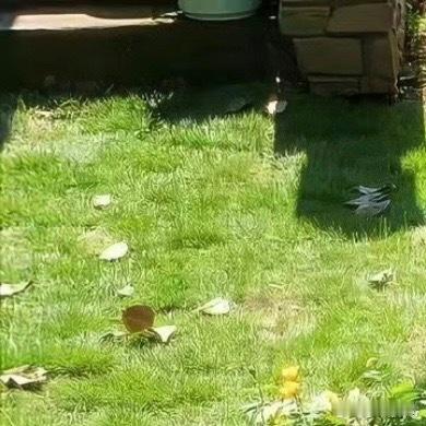 0000心有阳光的人，不但能给身边的人带去温暖，同时，自己也会被这阳光滋养着。愿