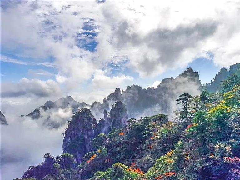 秋天的黄山
​我却想到了春天的李慕白和玉蛟龙
​秋天的黄山
我还记起了红楼梦里的