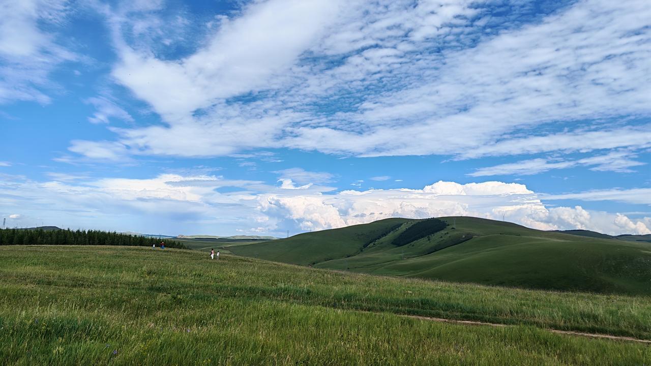 最近随手拍了张照片，那片草地绿得像地毯一样，简直是天然纯净的大自然馈赠。看到它就