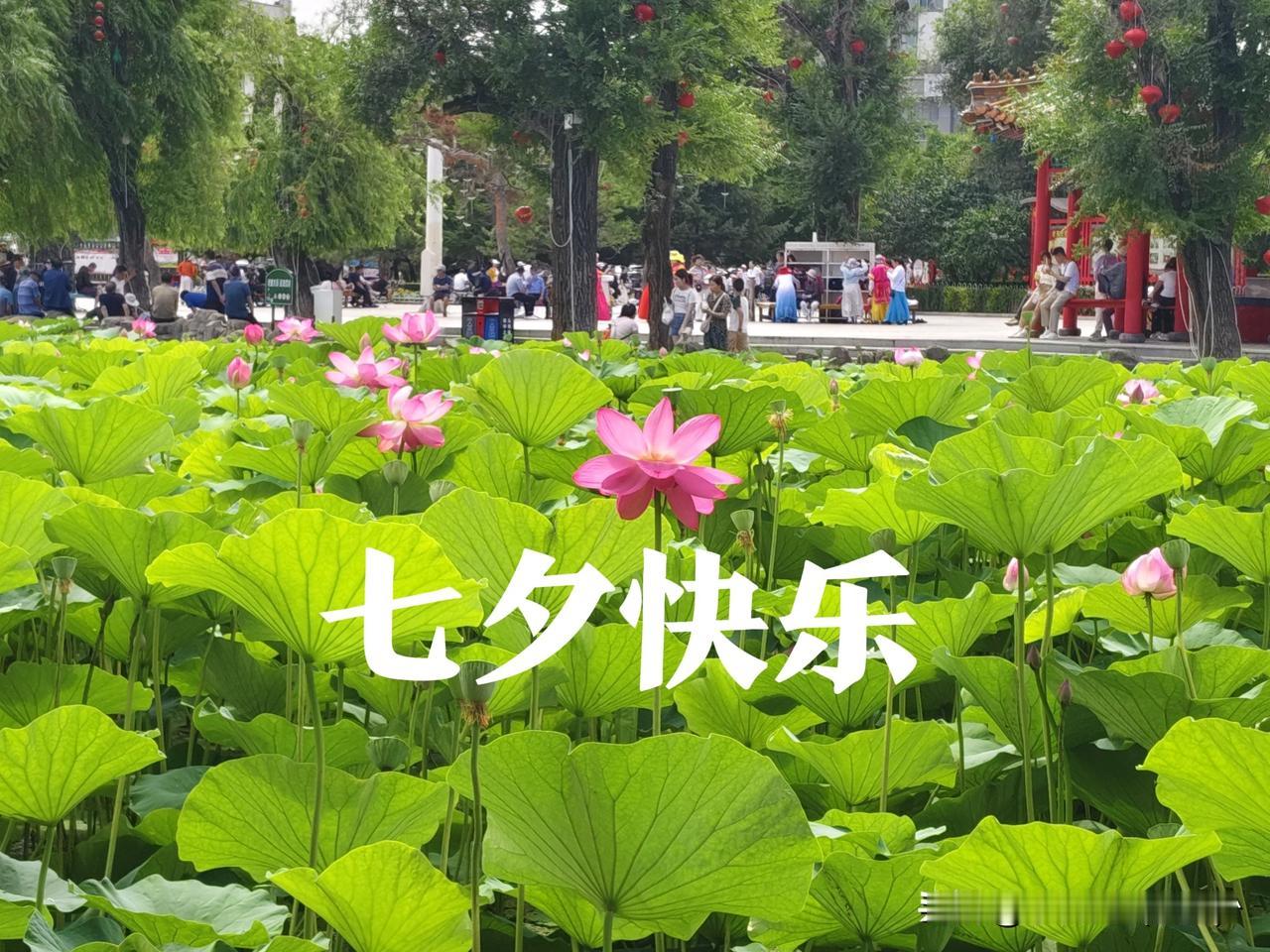 祝福大家七夕快乐 阖家幸福安康
七夕快乐 七夕 

戳这里👉快来看看你抽到什么