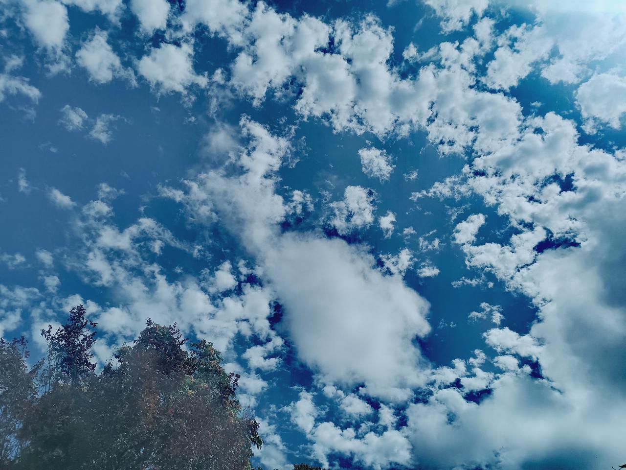 上传一张你手机里天空的照片吧湛蓝的天空铺满朵朵碎云，蓬松洁白，层层叠叠，树影衬于