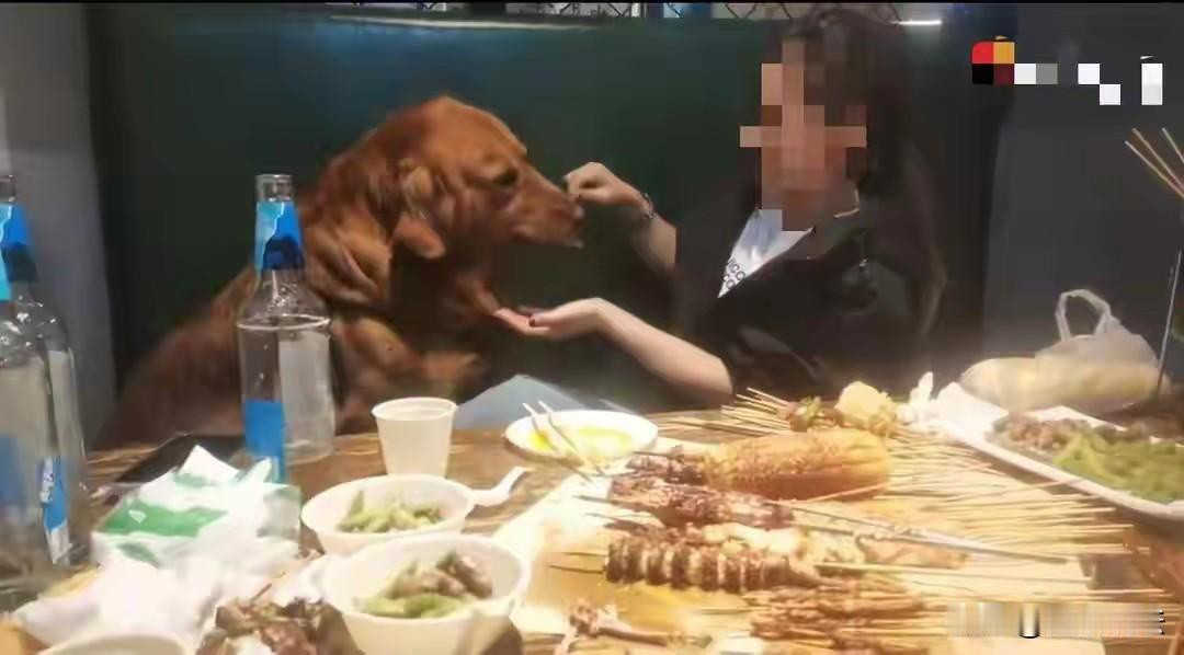 “冤吗？”辽宁大连，烧烤店内，女子让金毛狗坐在卡座上，给狗撸串，喂完把铁签放桌上