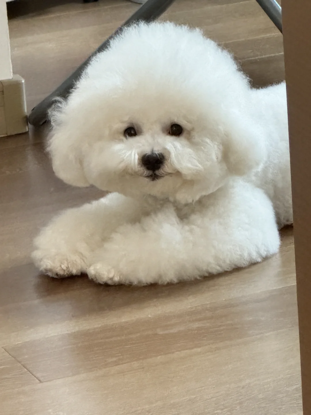 请问这属于什么款式的摇粒绒