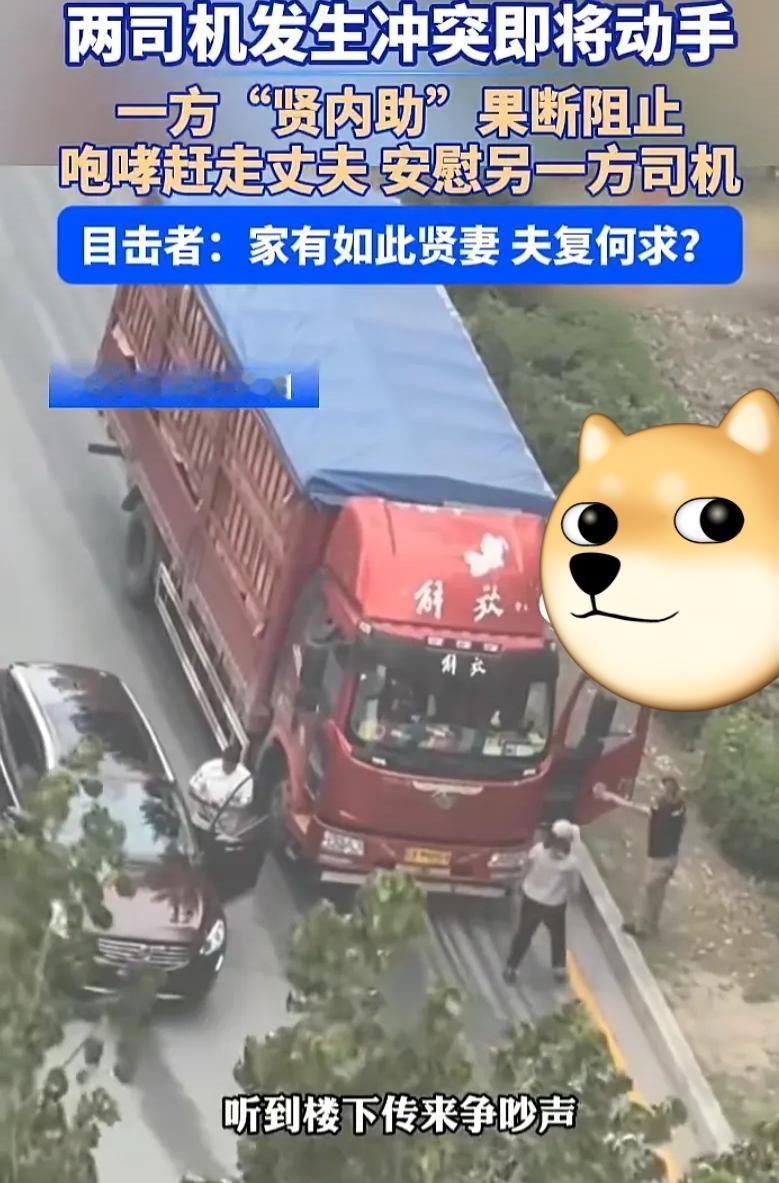 辽宁沈阳，正在上班的男子突然听到楼下传来争吵声，于是男子好奇走到窗边查看，这一看
