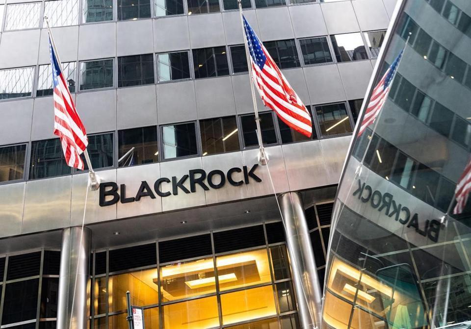 贝莱德才是资本圈的老大，国内的腾讯、阿里、小米，国外的苹果、特斯拉，背后都有它的