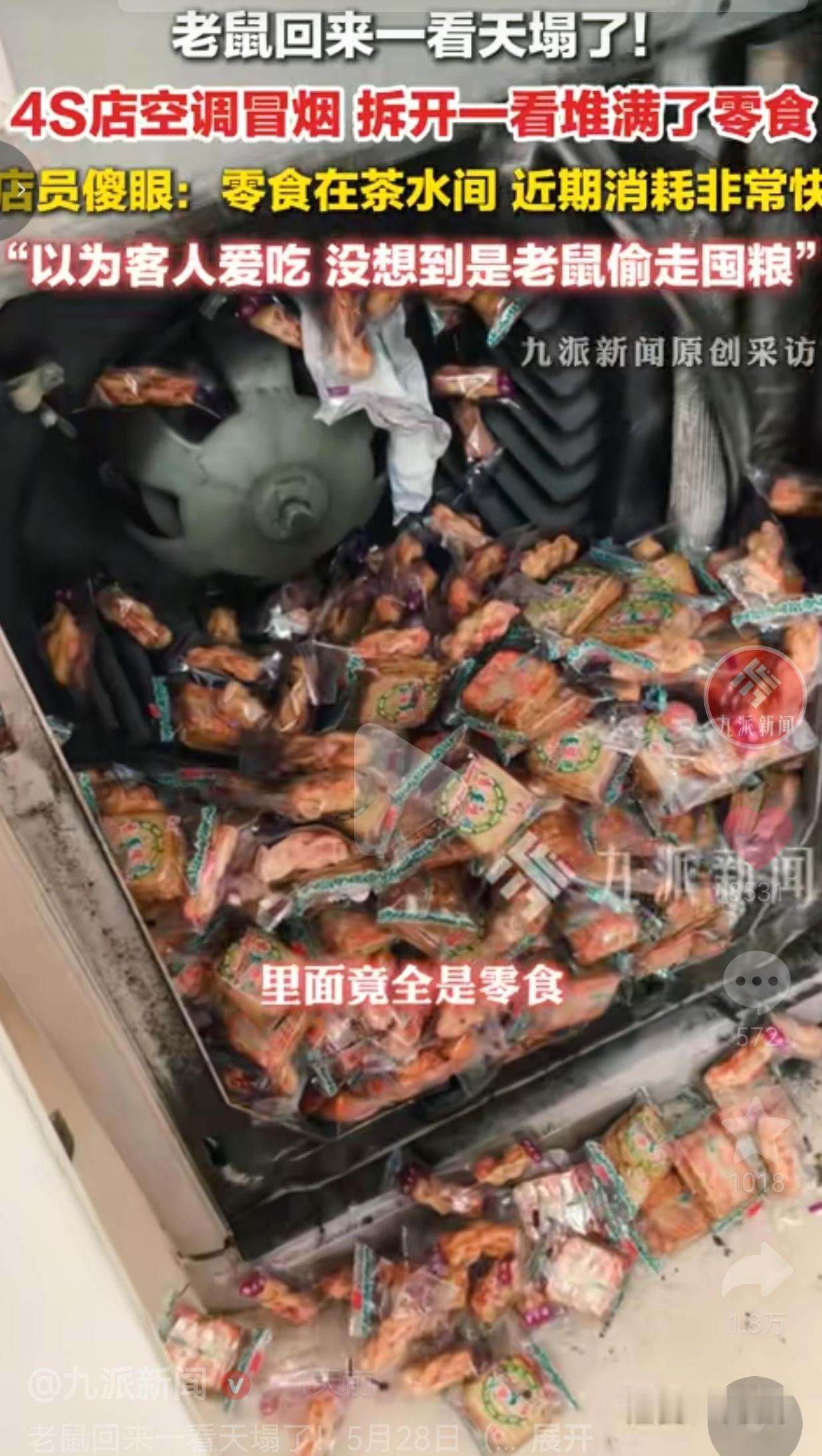 老鼠的“粮仓”被一锅端！4S店空调突然冒烟，大伙都笑翻了
 
河南许昌这家4S店