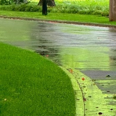 喜欢绿意盎然的春天，太治愈了 