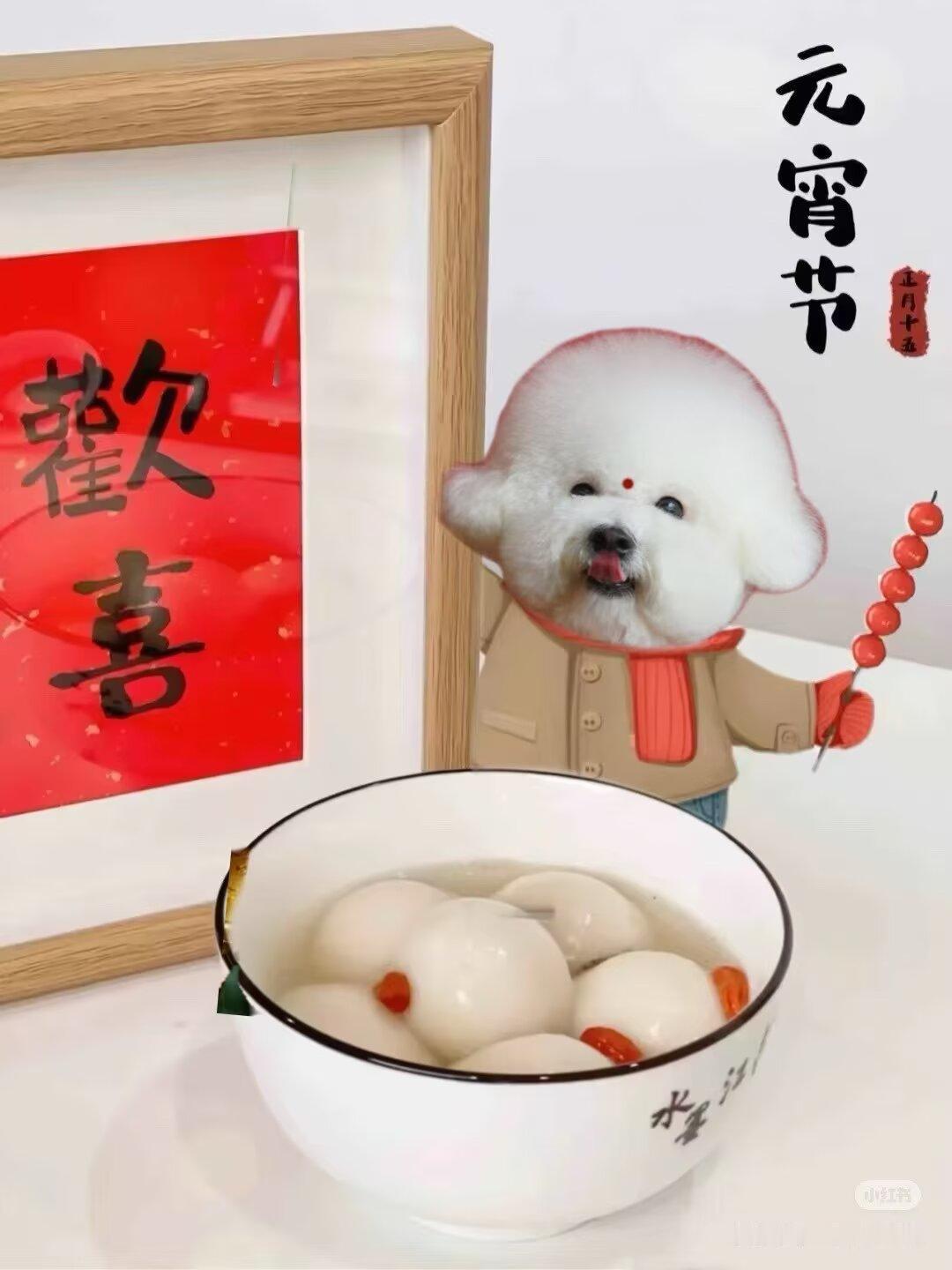 为什么短剧会成为流行趋势