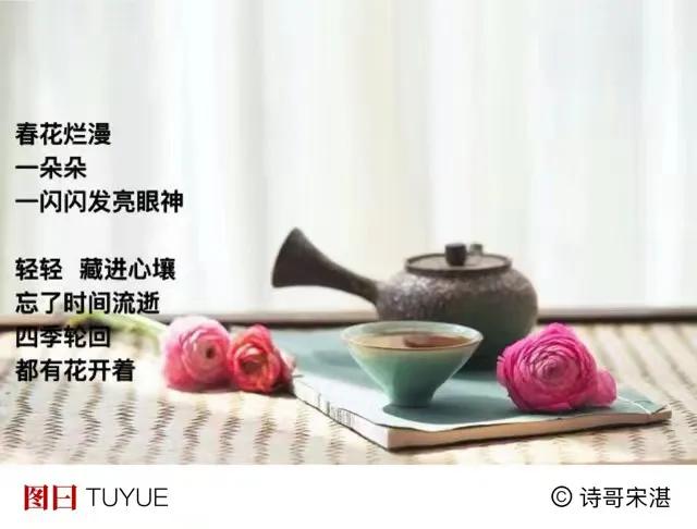 4月11日  星期四 
早安打卡
杏花雨桃花风给你
．
春天尾声了
恋爱或者热爱