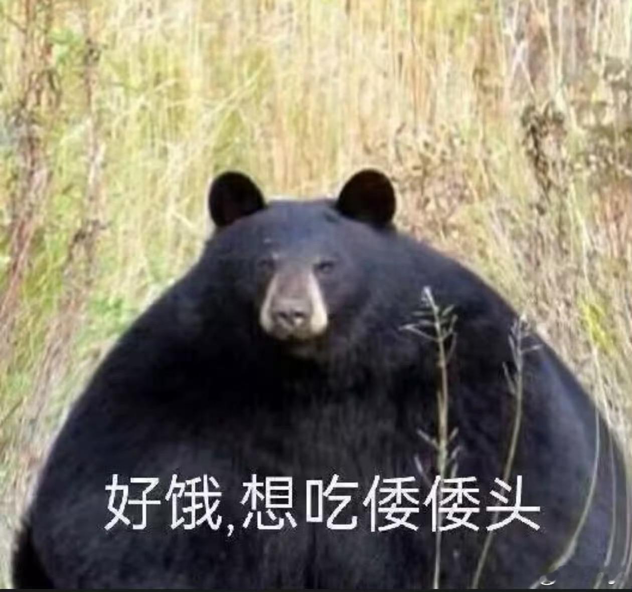 虽然日本马上要就没有大熊猫了但是日本不是有很多野生黑熊嘛涂一涂也能用，问题不大