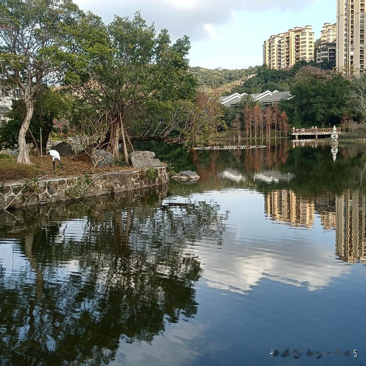 今天，我一个人出来富力度假村玩了，这里，风景迷人，还有什么比欣赏美景更惬意的呢。