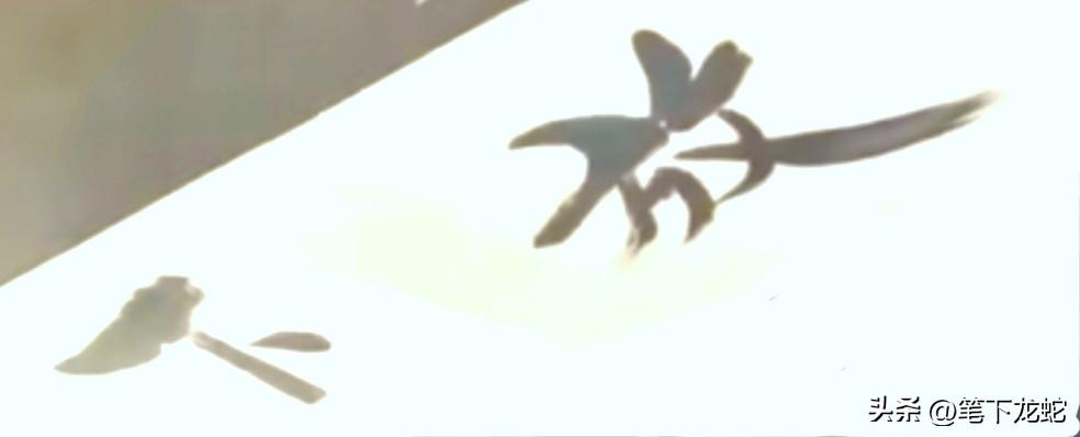 博士生导师郑强挥毫泼墨写下这两个字，寓意深远