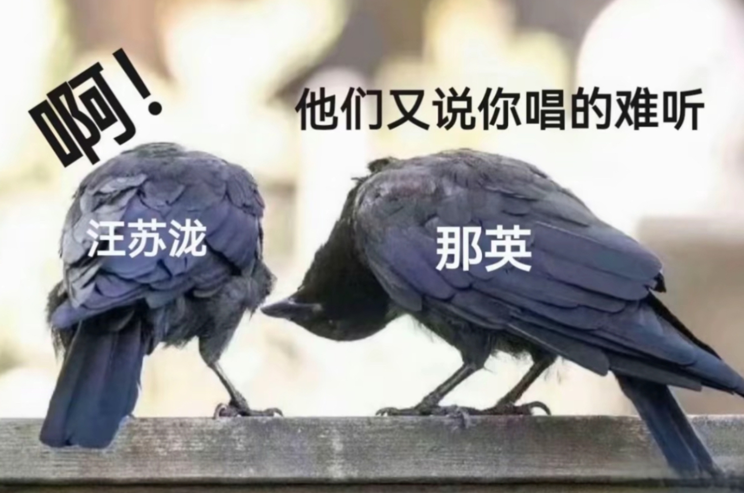 #歌手最好笑的图出现了#汪苏泷后台BE LIKE！ ​​​
