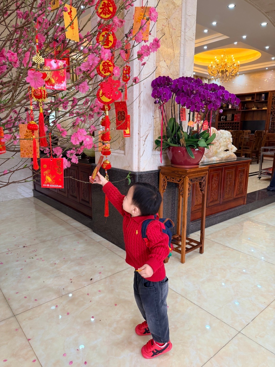 🧨 2026事事顺 岁岁安⁾⁾🍅🥜 东莞