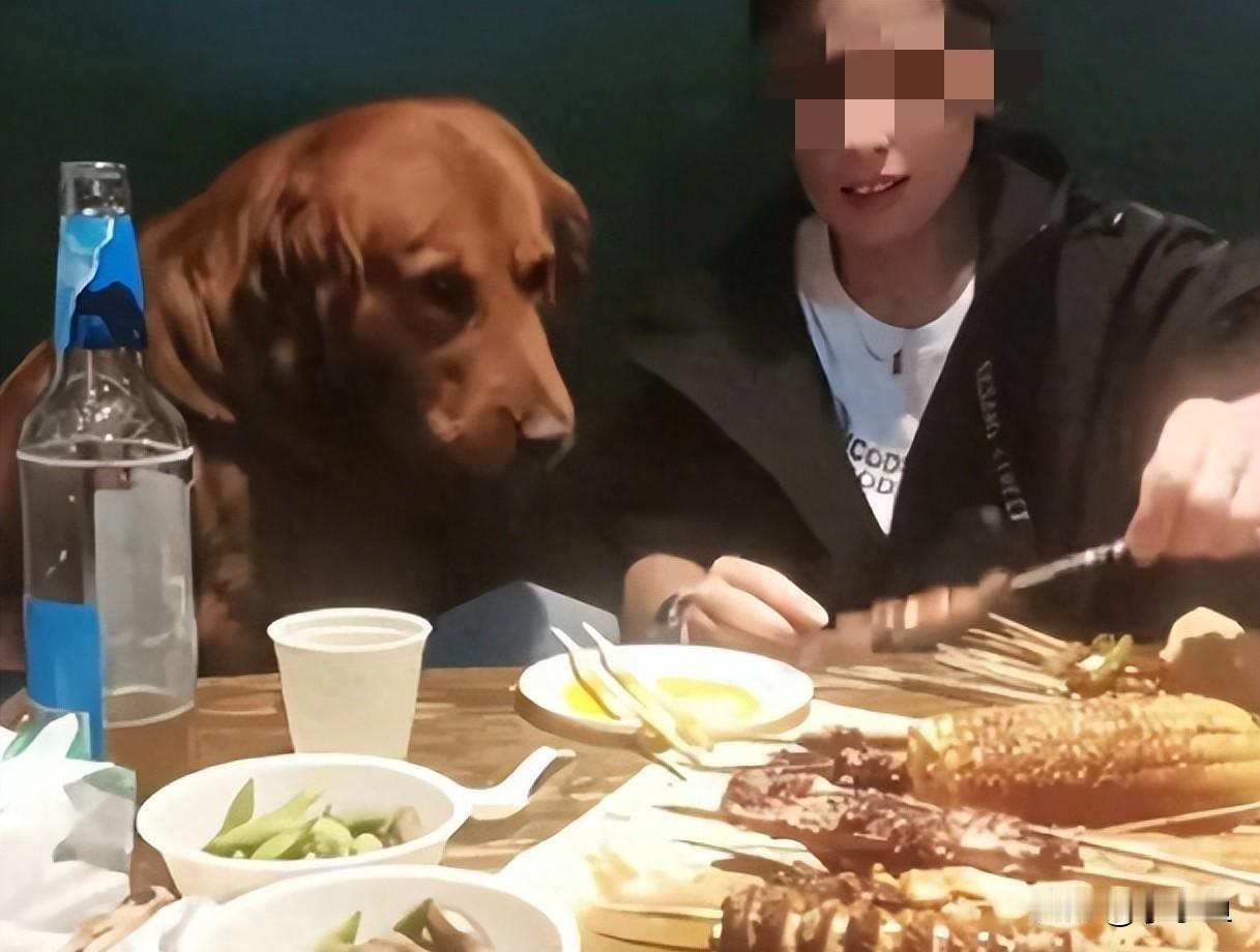 女子宠物狗店内撸串惹众怒，饭店竟为此停业整顿

谁能想到，一条不到5分钟的视频，