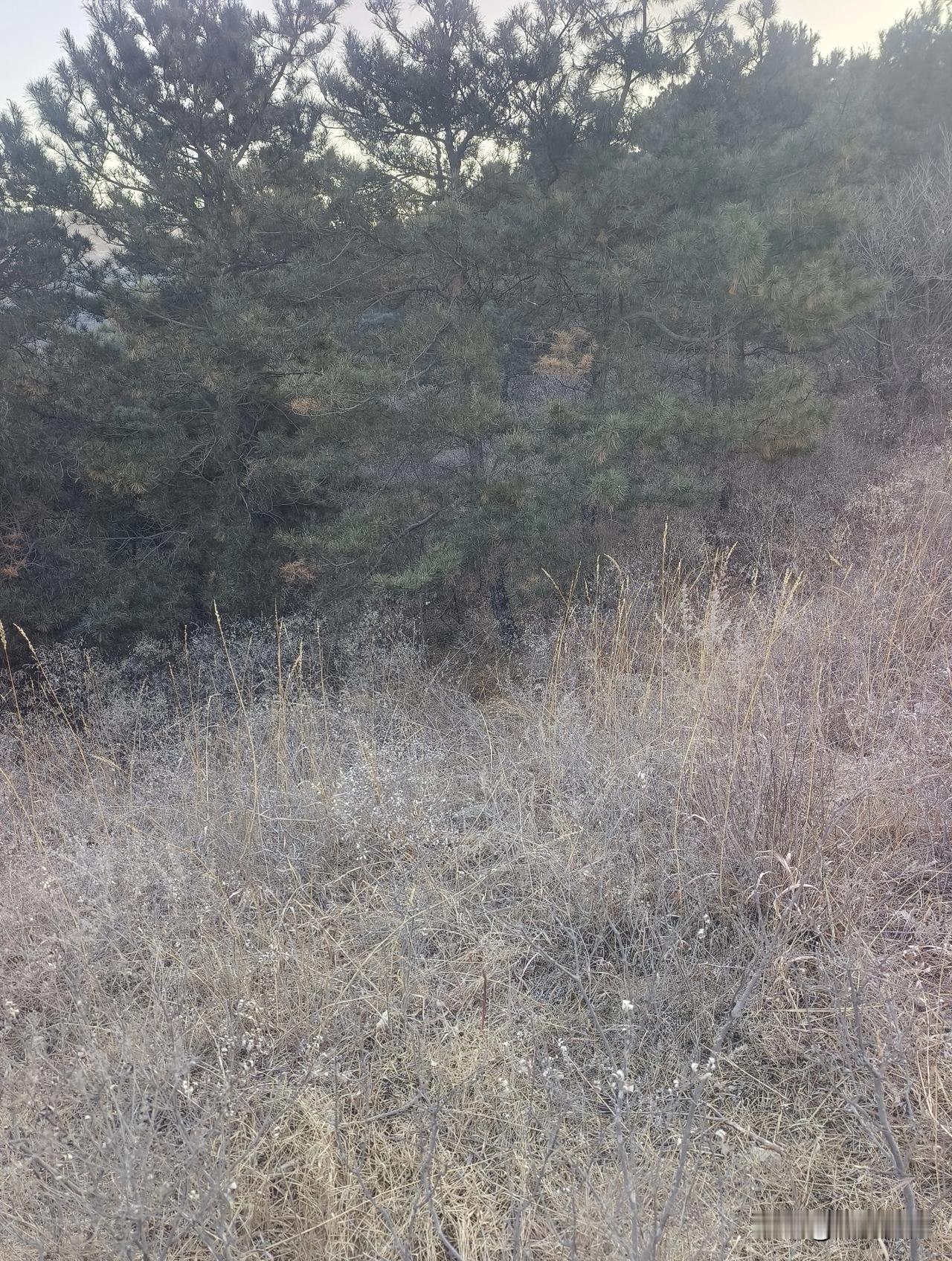 新的一年多陪陪老伴儿，老伴儿岁数大了，特别喜欢和我唠嗑，有时候我说她絮絮叨叨，看