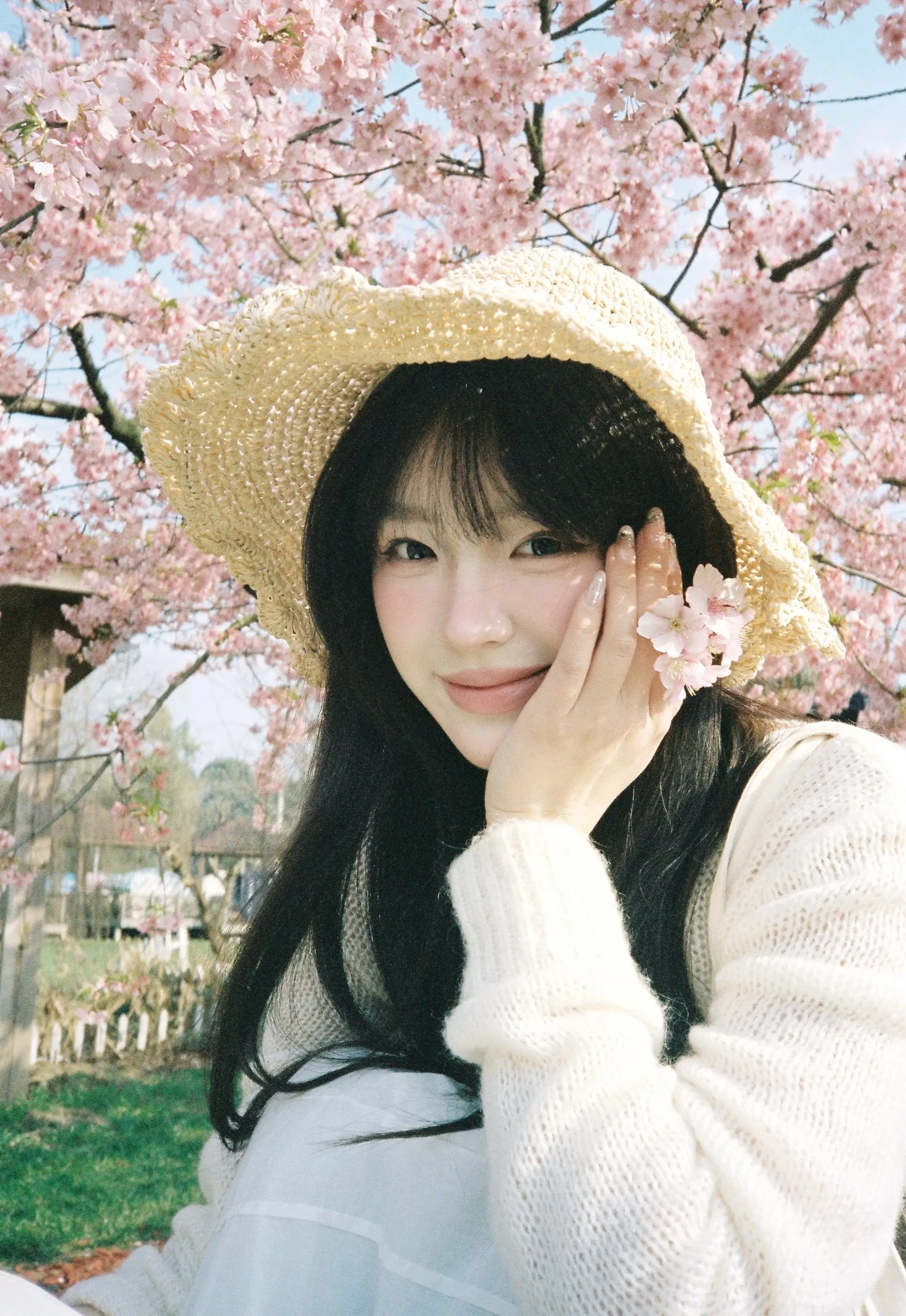 提前存一些樱花拍照姿势吧。