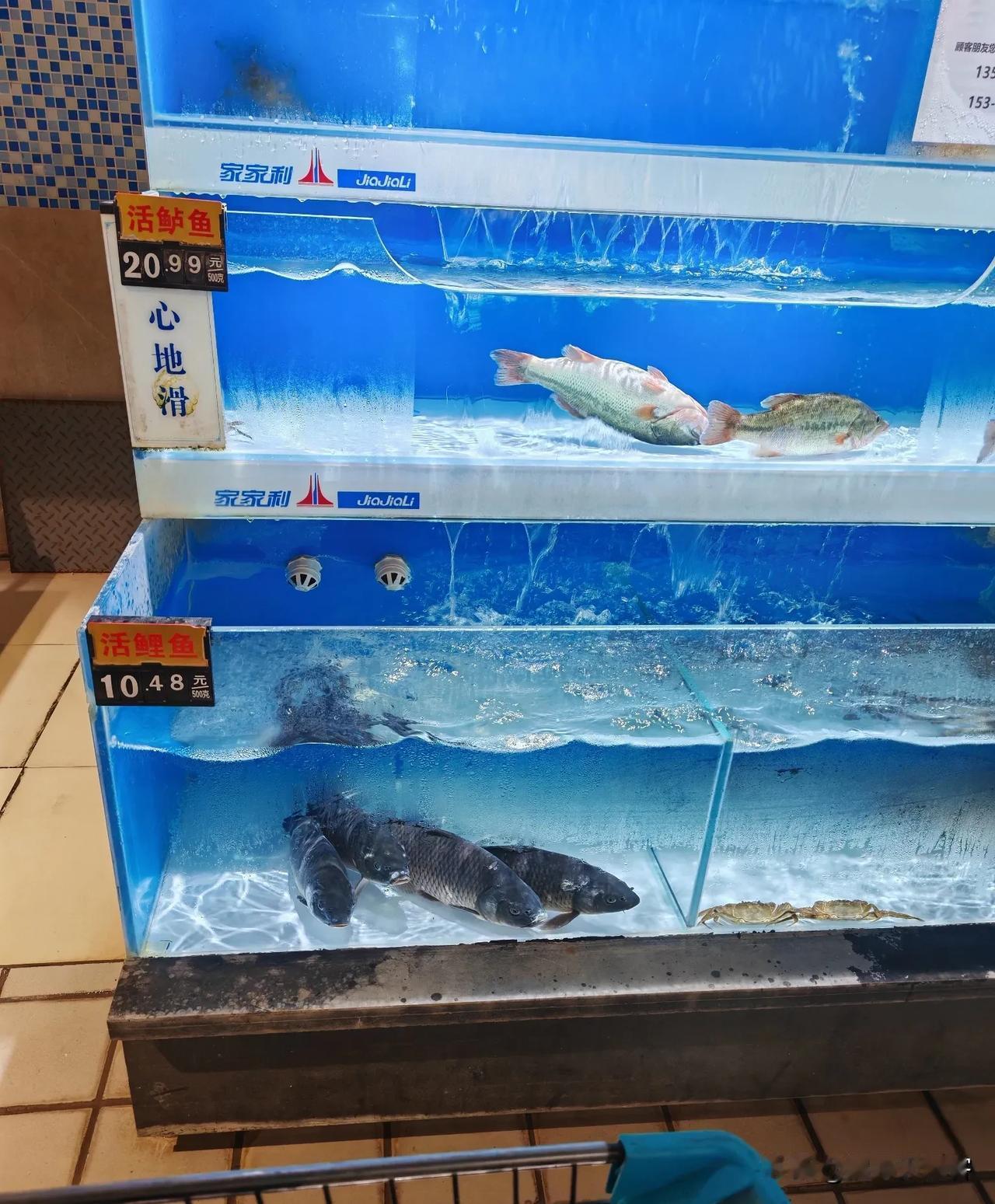 小外甥回来说他妈妈带他去海洋馆了。

我强忍着笑意听完他绘声绘色的长篇大论，心里