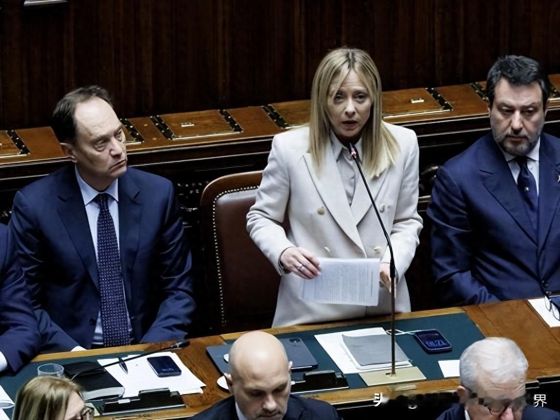 意大利的决定，泽连斯基肯定很伤心，估计他怎么也想不到，那个次次给他拥抱的美女总理