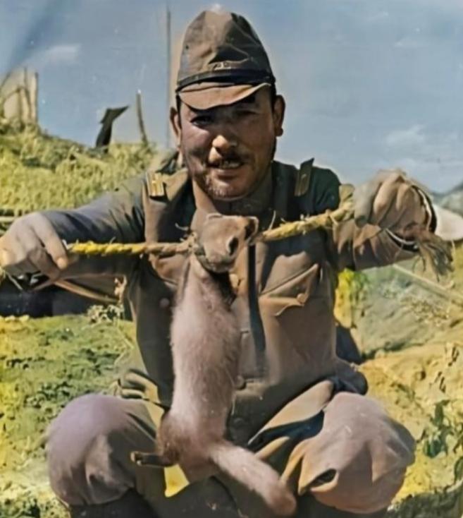 1937 年，河北，一名日本军官发现了一只黄鼠狼，他没有放过这个可怜的动物，而是