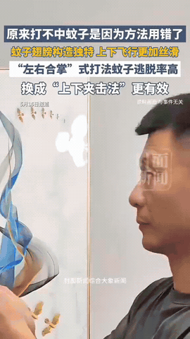 绝大多数人拍蚊子都用错方法，难怪次次都抓不到
 
夏天最让人烦躁的事，莫过于深夜