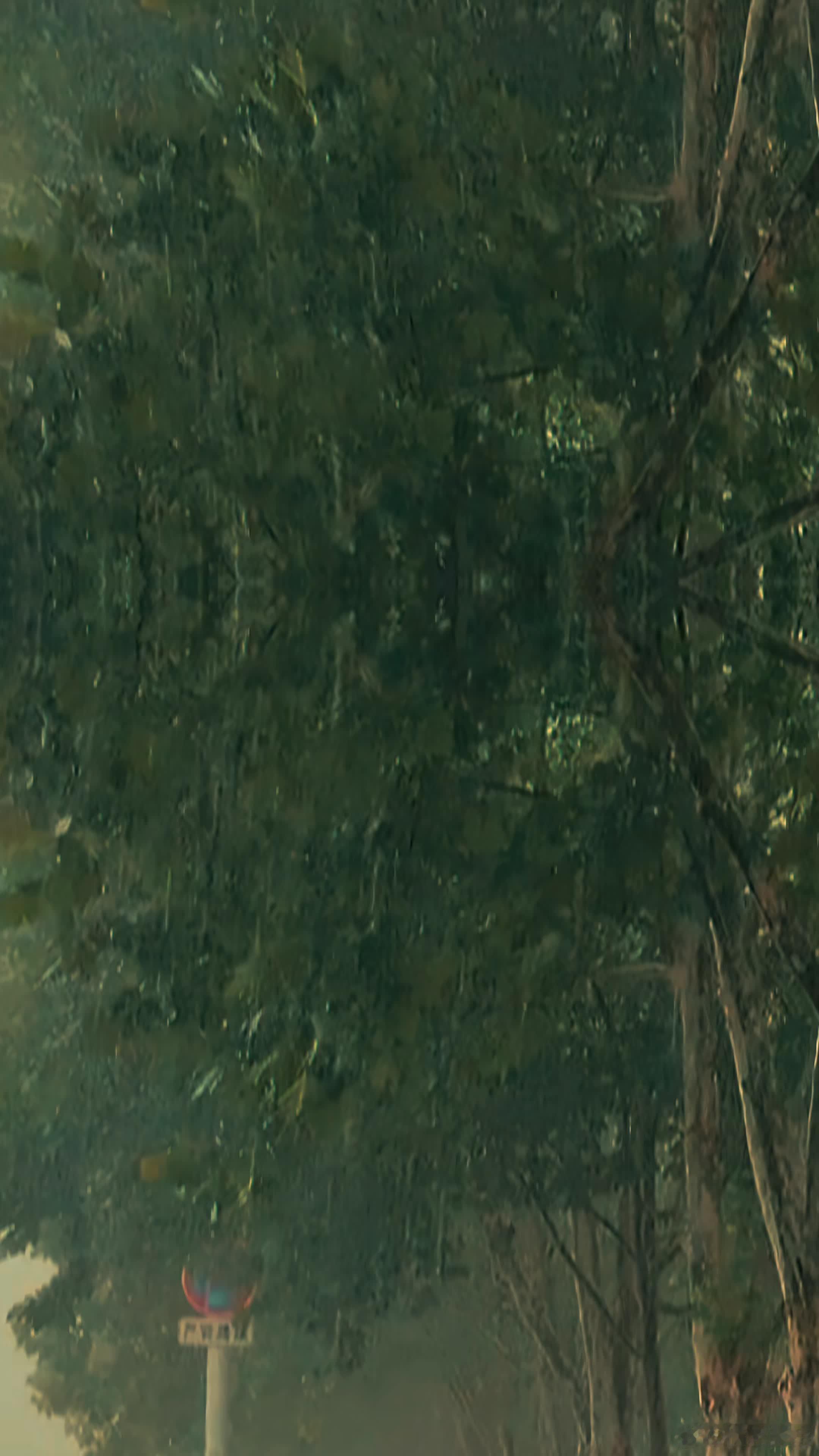 范丞丞方否认私下交往1月3日，范丞丞工作室发文回应范丞丞与司晓迪恋情传闻，工作室