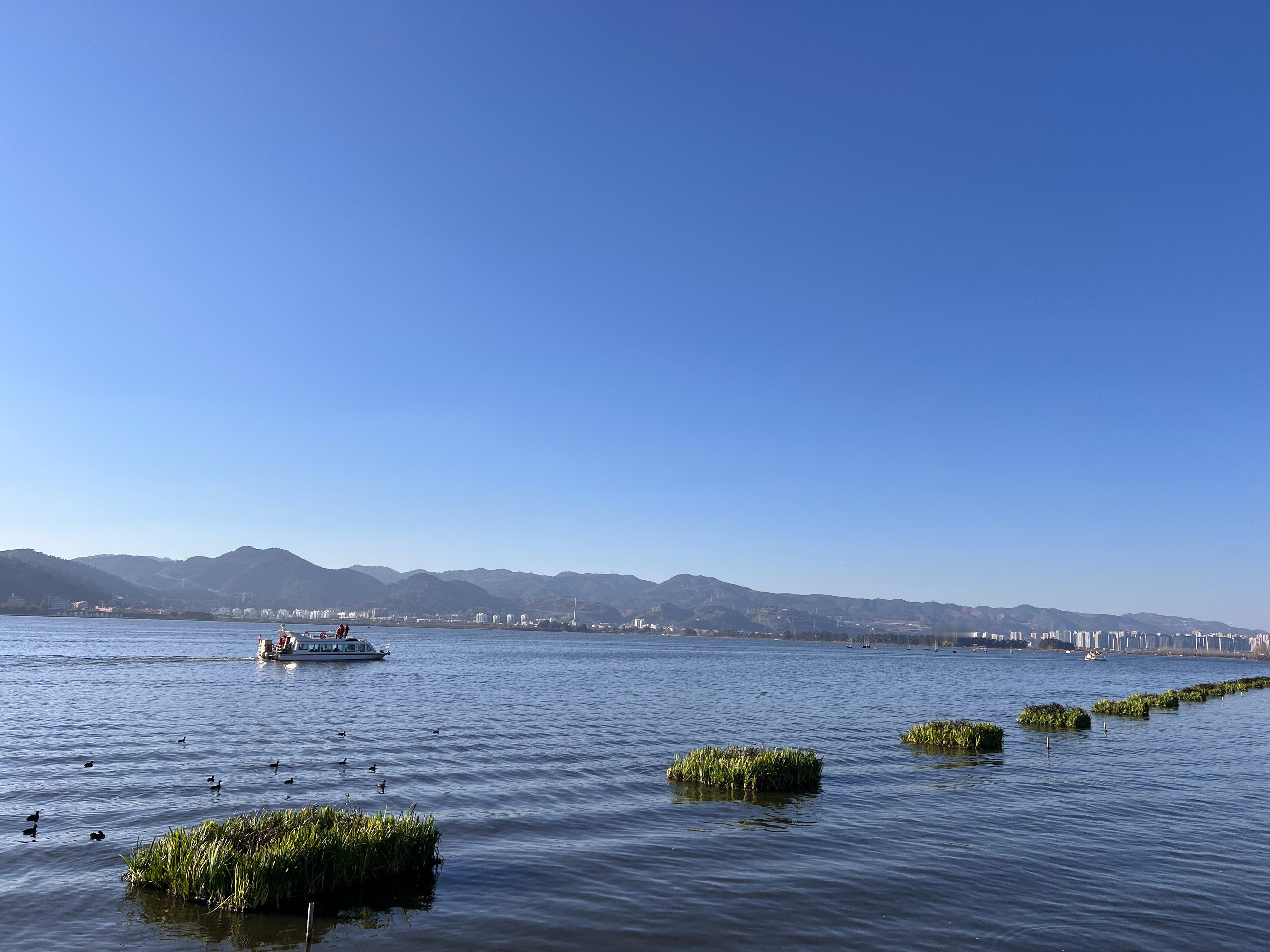 昆明的天气真舒服呀就是下次要早点来，海鸥都吃饱了