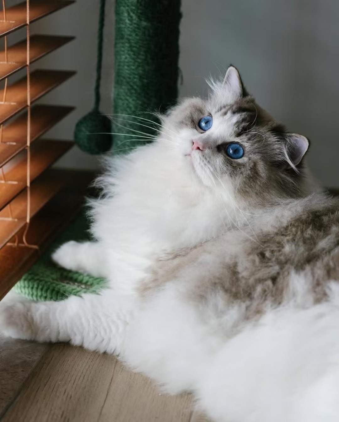 炒米粉还是那么可爱😻夏天了还穿冬装呐！（家长）  ​​​